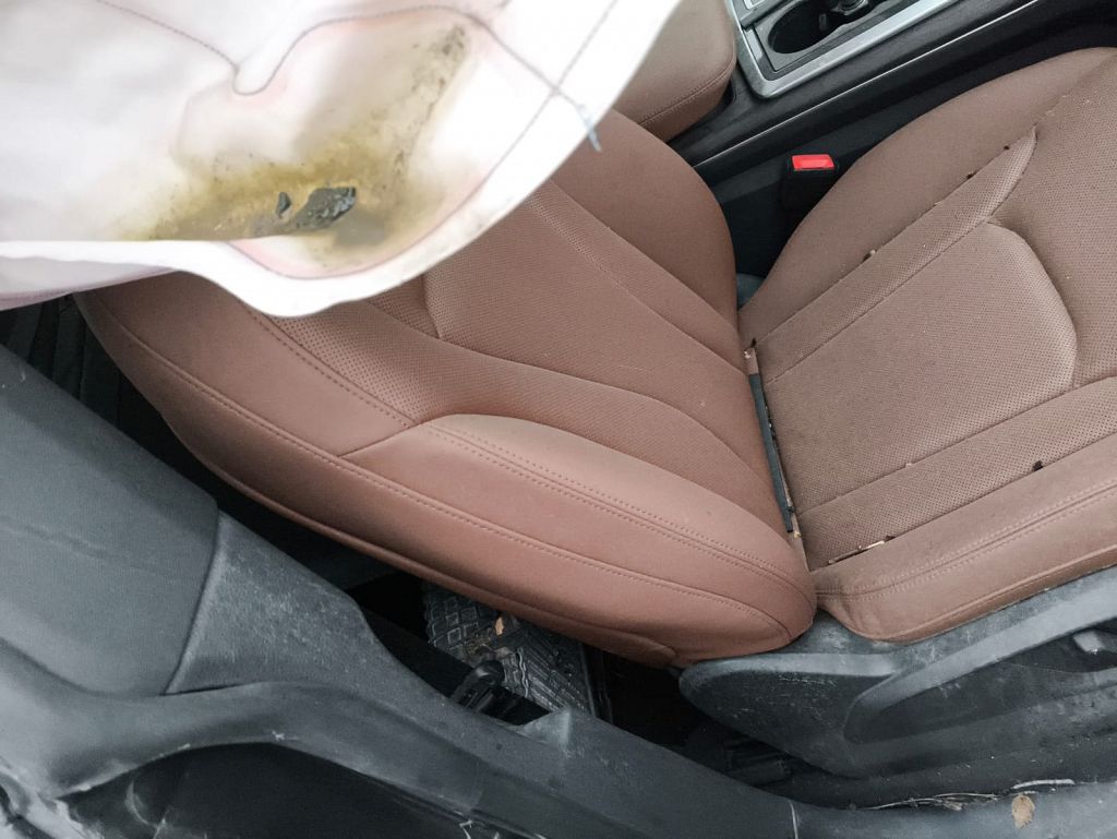 Фото Audi Q8 240